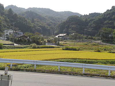 写真02