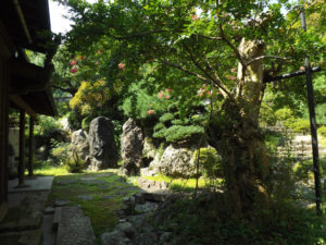 庭全景