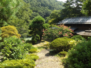 庭全景