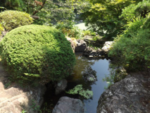 池と渓谷美