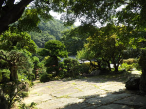 庭全景