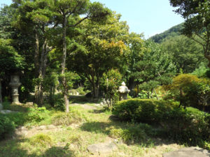庭全景