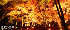 長瀞 月の石もみじ公園紅葉ライトアップ