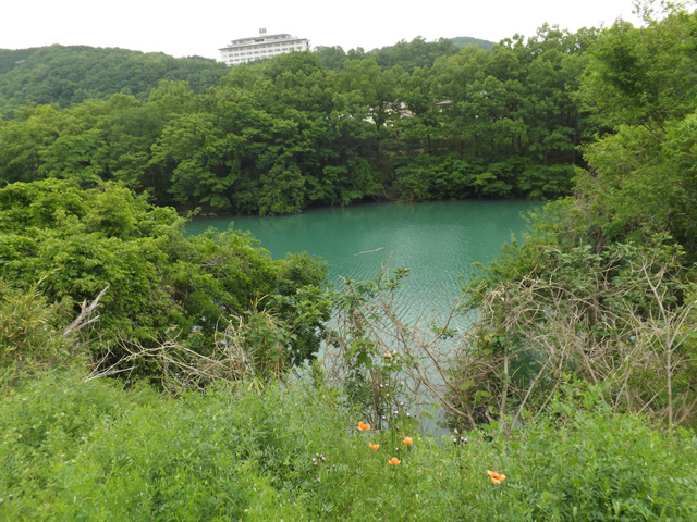 玉淀湖