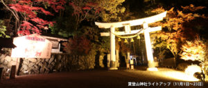 寶登山神社ライトアップ（11月1日～23日）